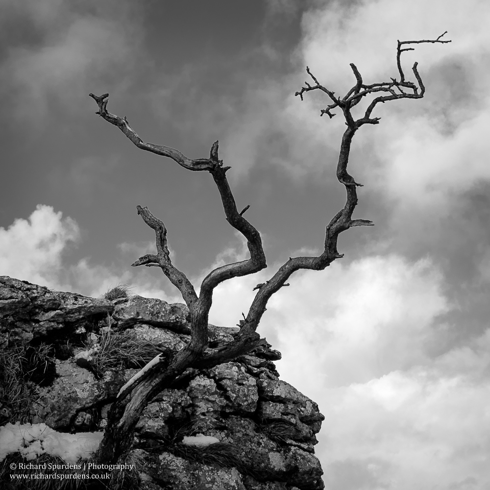 Landscape Photograher - Landscape Photography - a day in the dales -3