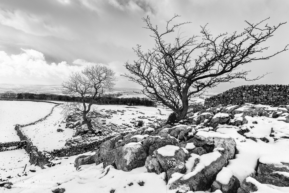 Landscape Photograher - Landscape Photography - a day in the dales -9