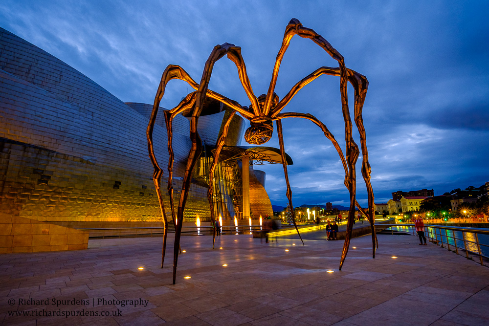 Architecture Photography - Architecture Photographer - maman spider at night