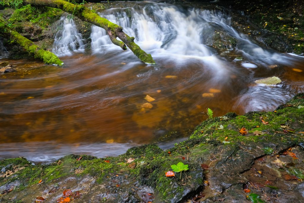 Landscape Photography - Landscape Photographer - colour image of a few fallen leaves againts the flow of the stream of peat colours - the start of autumn