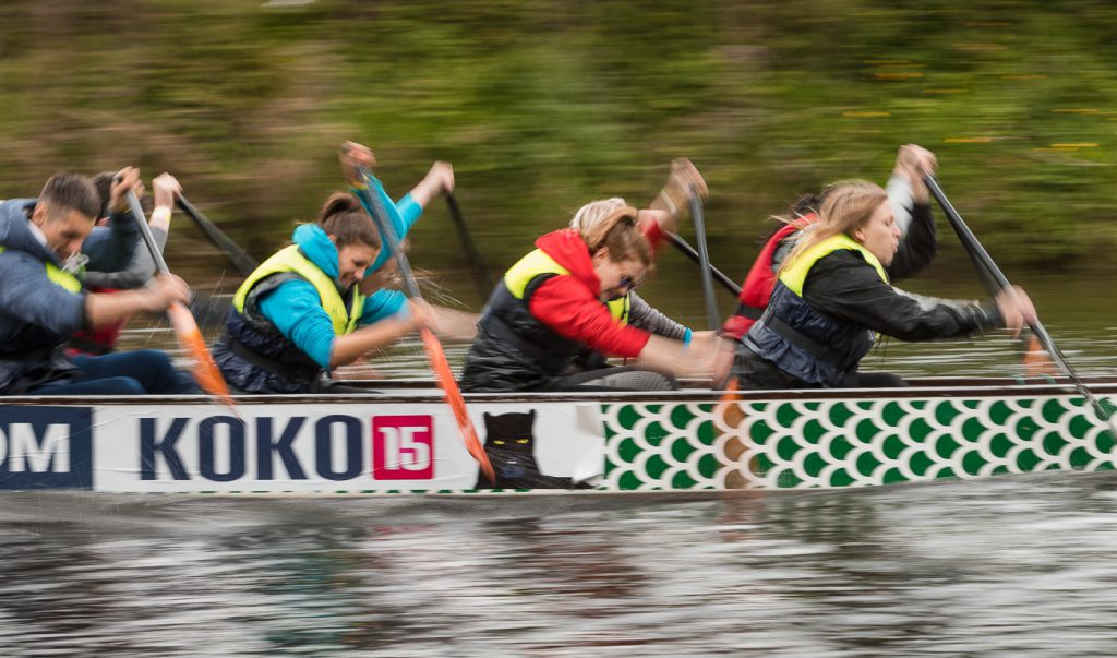 sport photography - sport photographer -colour image of dragon boat racing on the river aire at roberts park saltaire, a slow shutter speed was used together with panning to give a feel of the speed