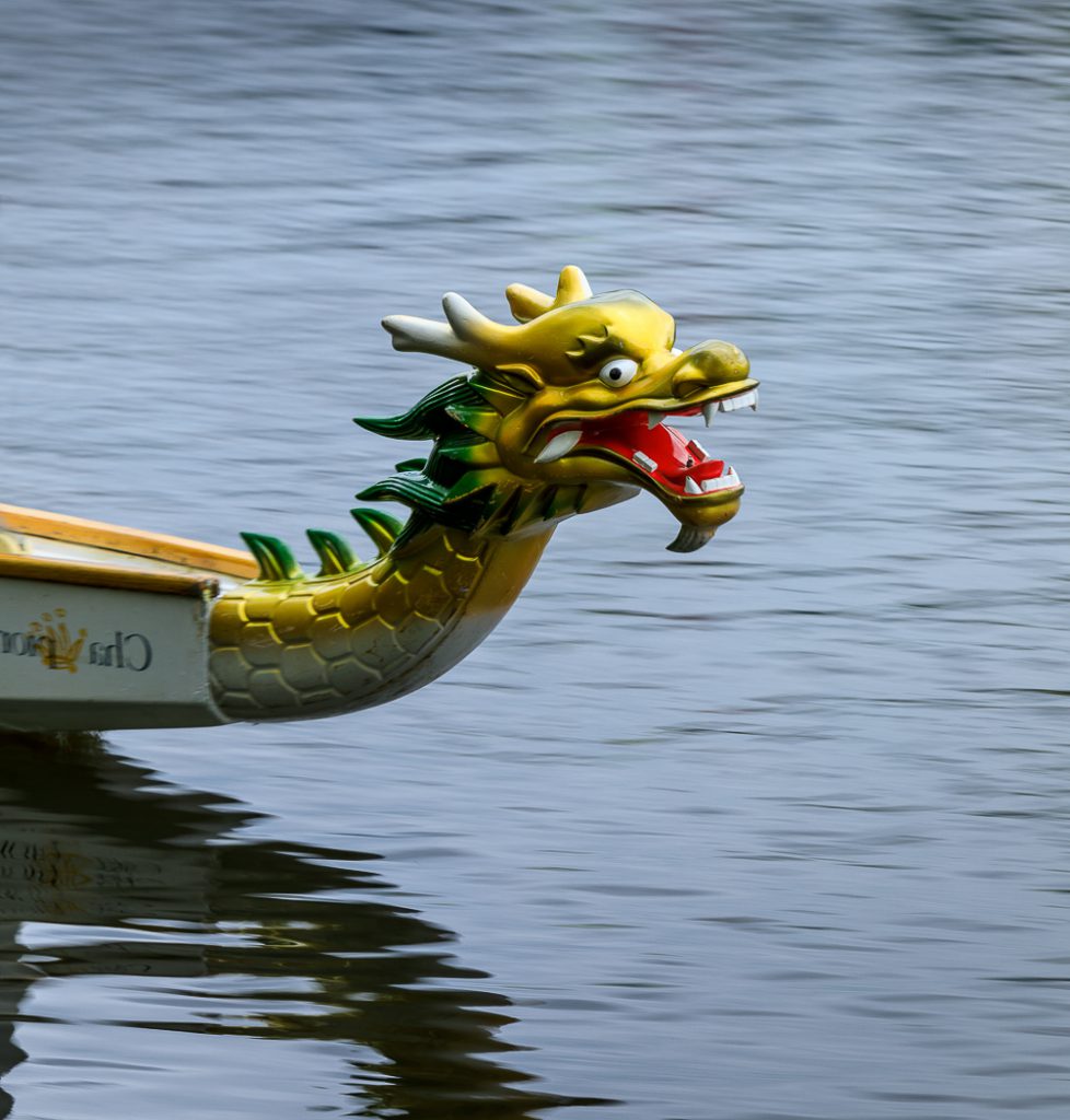 sport photography - sport photographer -colour image of dragon boat racing on the river aire at roberts park saltaire, image captures the dragon boats head