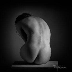 artristc nude photograher - artristc nude photography - print of the month for october 2019 is a monochrome image of the female form showing the curvs and shape of the back