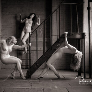 artristc nude photograher - artristc nude Phtography - Trio at the fire escape december print of the month