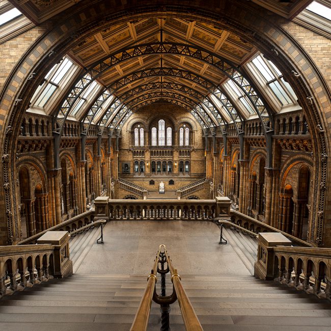 Architecture Photography - Architecture Photograher - the interior of the natural history museum london shot from the top of the steps showning the main hall architecture